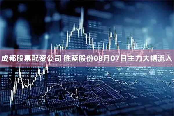 成都股票配资公司 胜蓝股份08月07日主力大幅流入